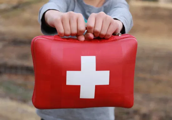 Kit de sac de premiers secours de sac de voyage de la CE ISO FDA pour la famille extérieure